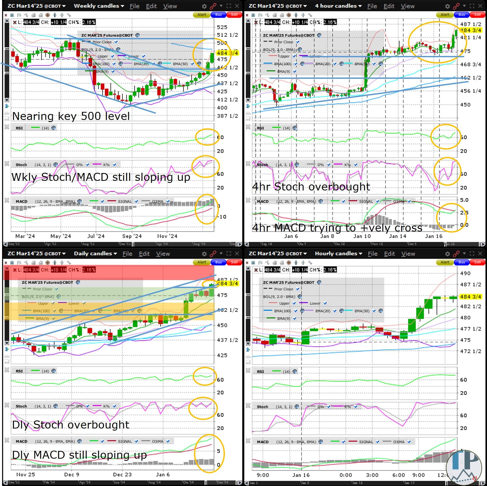 玉米接近关键的500水平_海马财经